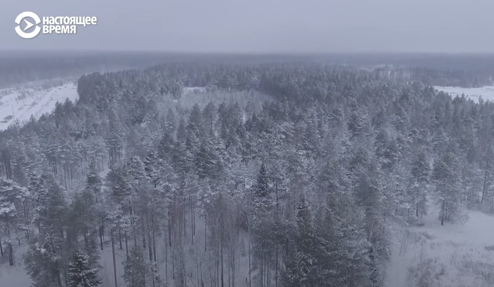 О сотрудничестве с федеральными каналами и украденных авторских правах