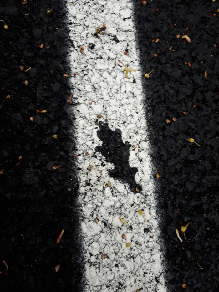 Альтернативный логотип лиги лени