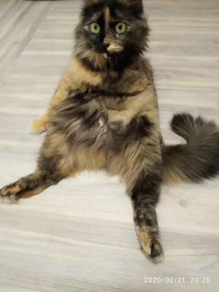 ��� ��� ������ ���!