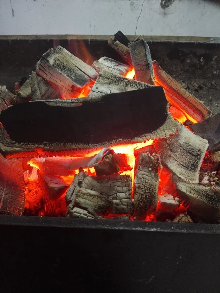 Kebabs at home - My, Fire, Shashlik, Sit well