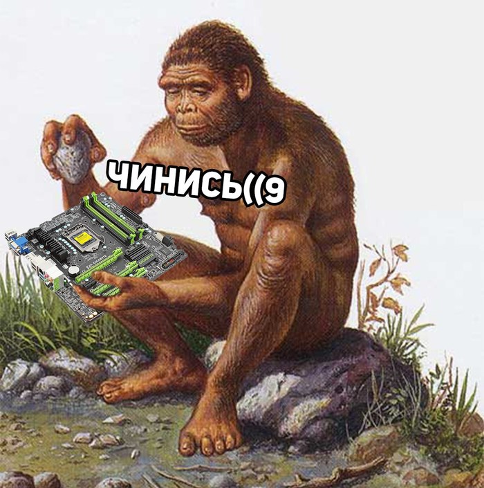 Чинись