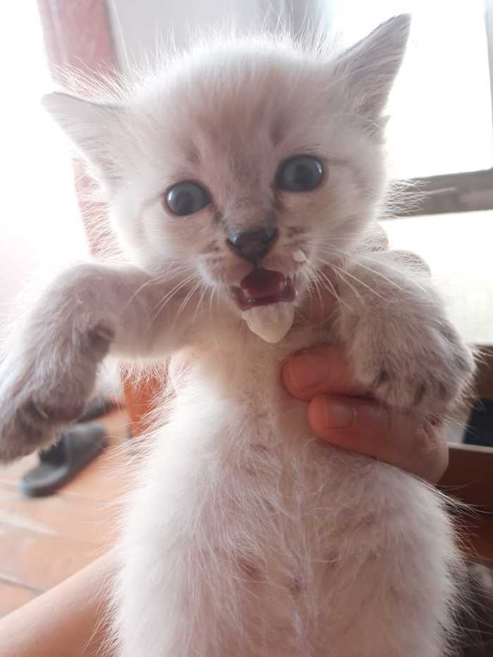   ?) , ,  , , 