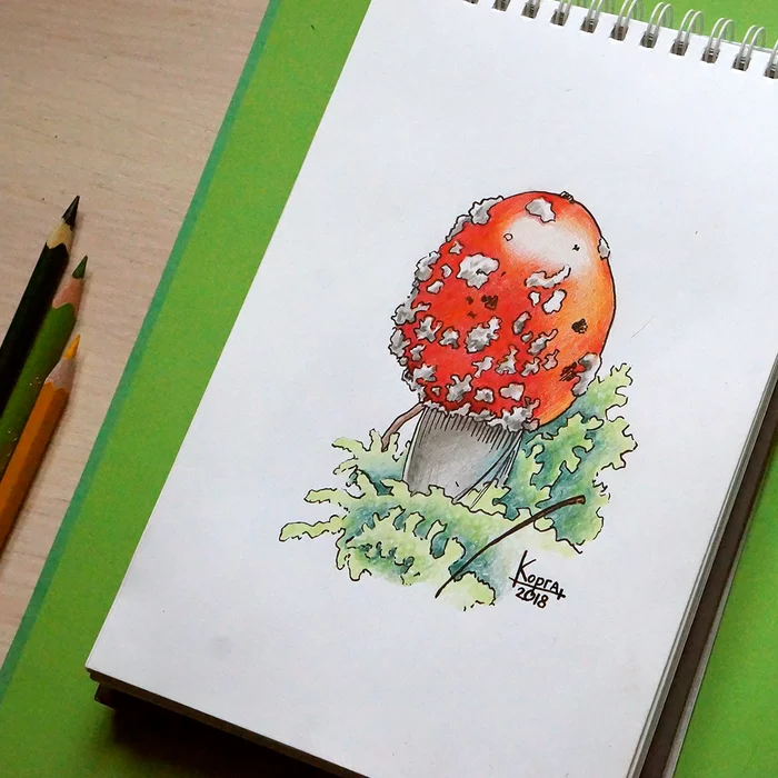 Another mushroom, this time with colored pencils and a capillary pen - My, Mushrooms, Drawing, Graphics, Art, Painting, Artist, Colour pencils, Nature, Longpost
