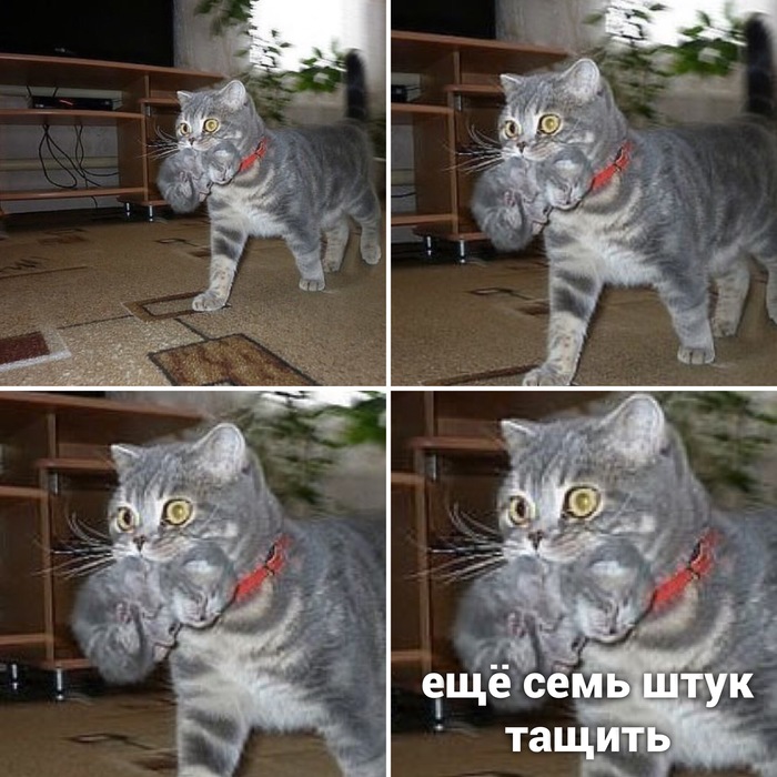  , 