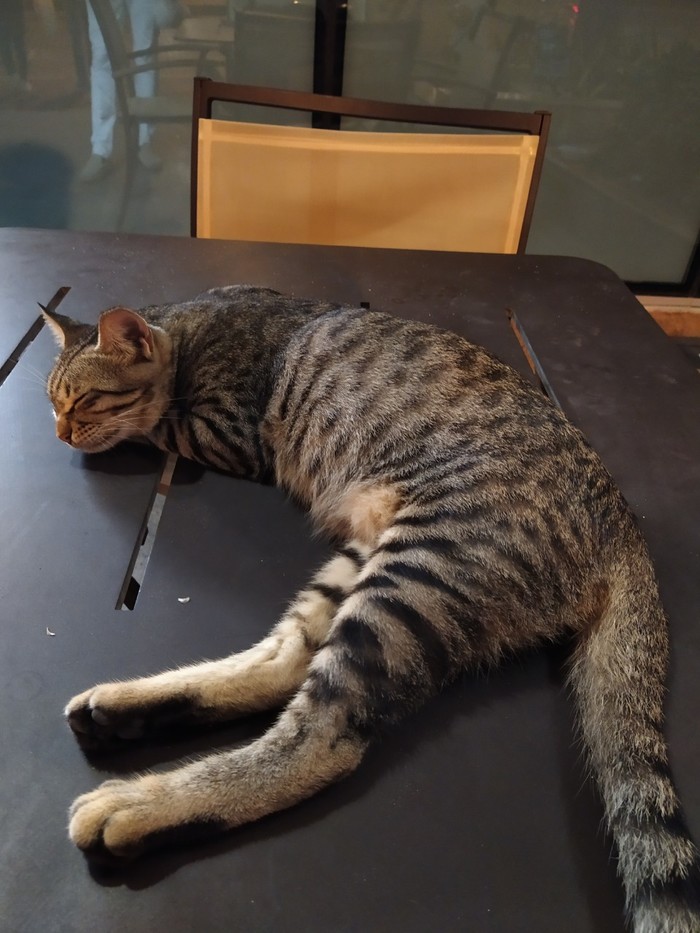           , ,  , 