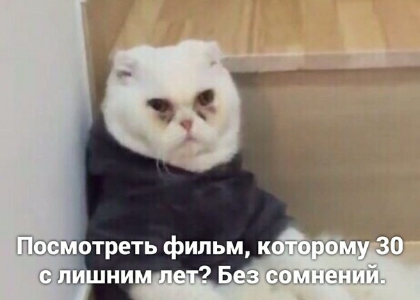 Бессонница | Пикабу