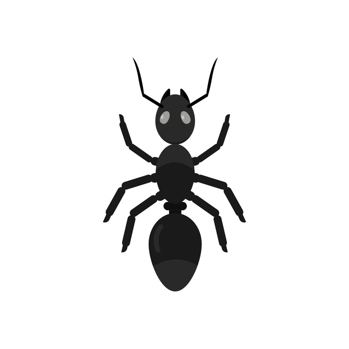 Ant - My, Ants, Insects, Drawing, Vector graphics