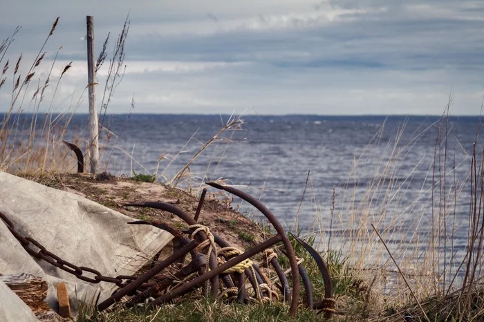 Shore of Ladoga - My, Ladoga, Canon 80d