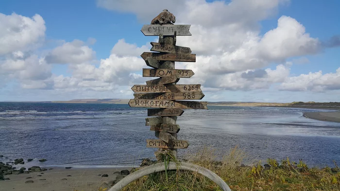 Commander Islands - Beautiful view, Kamchatka, Longpost, Koryaksky Volcano, Avachinsky volcano, Kozelsky Volcano, Travel across Russia, Mushrooms, Nature, The nature of Russia, Commander Islands, My