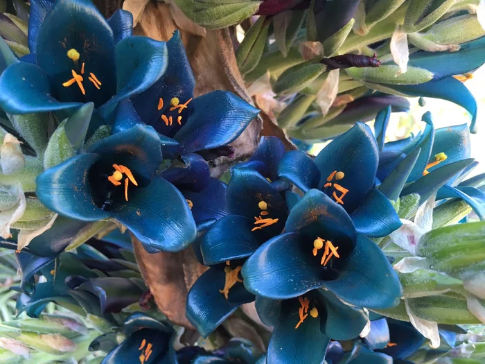 Что это за штука - 93 Перевел сам, Reddit, WhatIsThisThing, Видео, Длиннопост