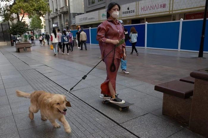 Wuhan is slowly returning to normal life - China, Dog, Golden retriever, Coronavirus, Normalization, Women, Skate