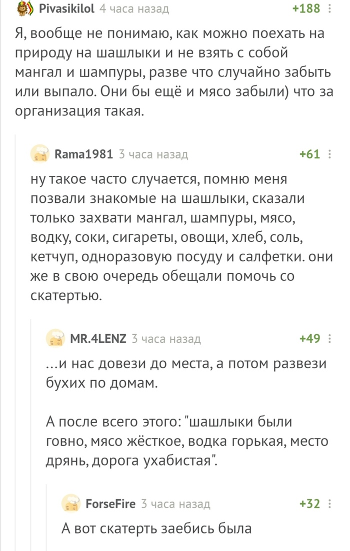 Обычная поездка на шашлыки с компанией