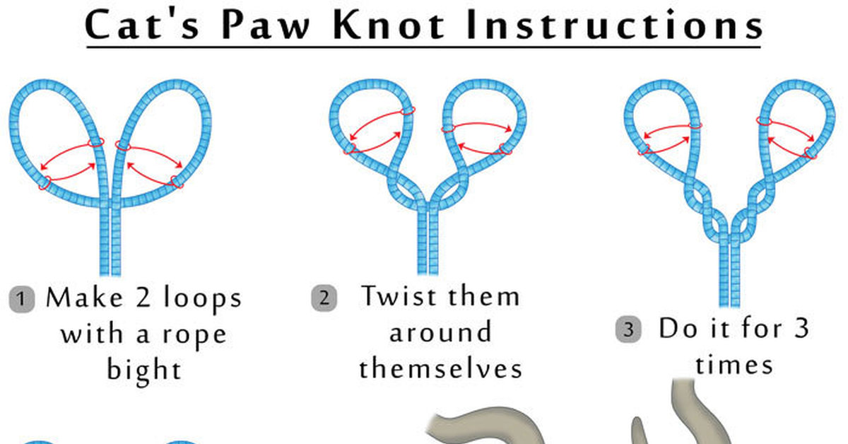 Морской узел кошачья лапка фото и описание