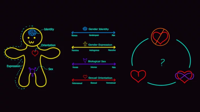 In a Nutshell: Gender Identity and Relationships - My, Relationship, Gender, Polyamory, Nauchpop, LGBT, Longpost