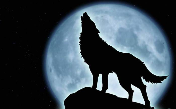 I'm wolf. I am the beast of the night steppes - My, Poems, Poetry