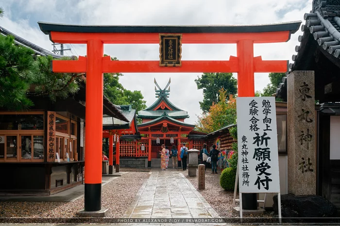 Japan: Temples of Kyoto, deer in the city of Nara and traditional Japanese food. Where to go next! Part 2 - My, Longpost, Japan, Deer, Travels, The photo, Travelblog, Broadcast, Documentary, Video