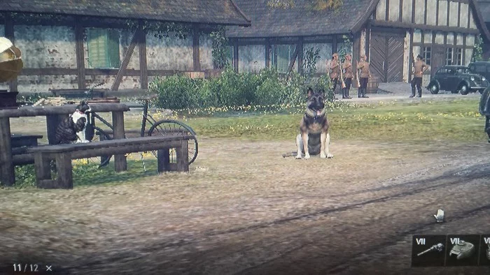 We are so different, but we are together - My, World of tanks, Witcher, cat, Dog, Quarantine
