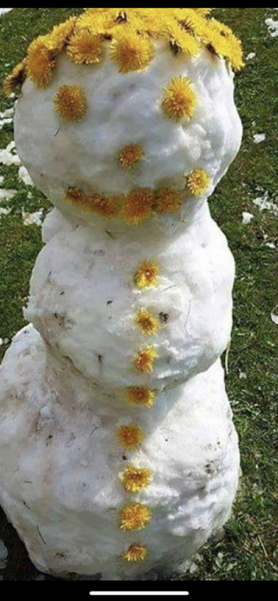 And here in Minsk today it’s something like this))) - snowman, Spring, Positive, Republic of Belarus, Dandelion