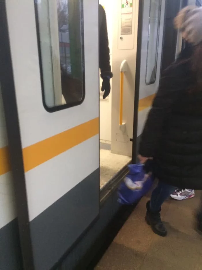 Low-floor trains, medium (semi-high/semi-low) platforms in the Russian Federation - My, Swarms, Петиция, Initiative, Society, Accessible environment, Railway, Longpost