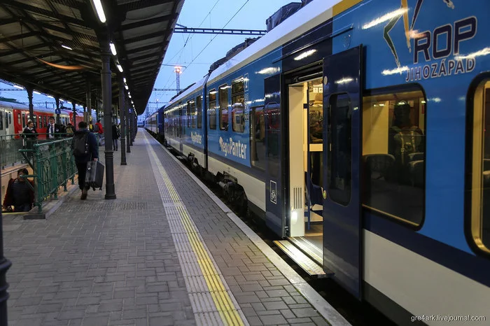 Low-floor trains, medium (semi-high/semi-low) platforms in the Russian Federation - My, Swarms, Петиция, Initiative, Society, Accessible environment, Railway, Longpost