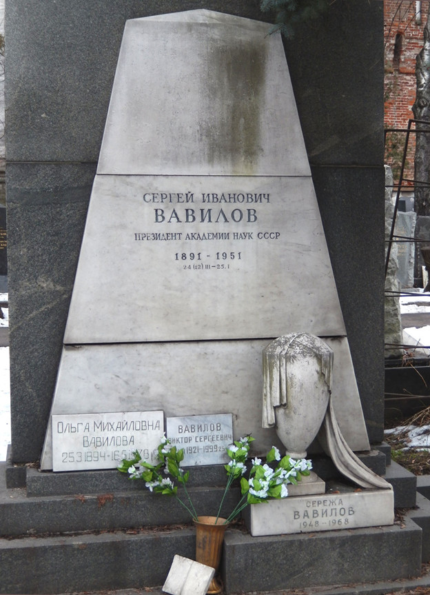 Walks along Novodevichy. Section No. 1 - Novodevichy Cemetery, the USSR, Longpost