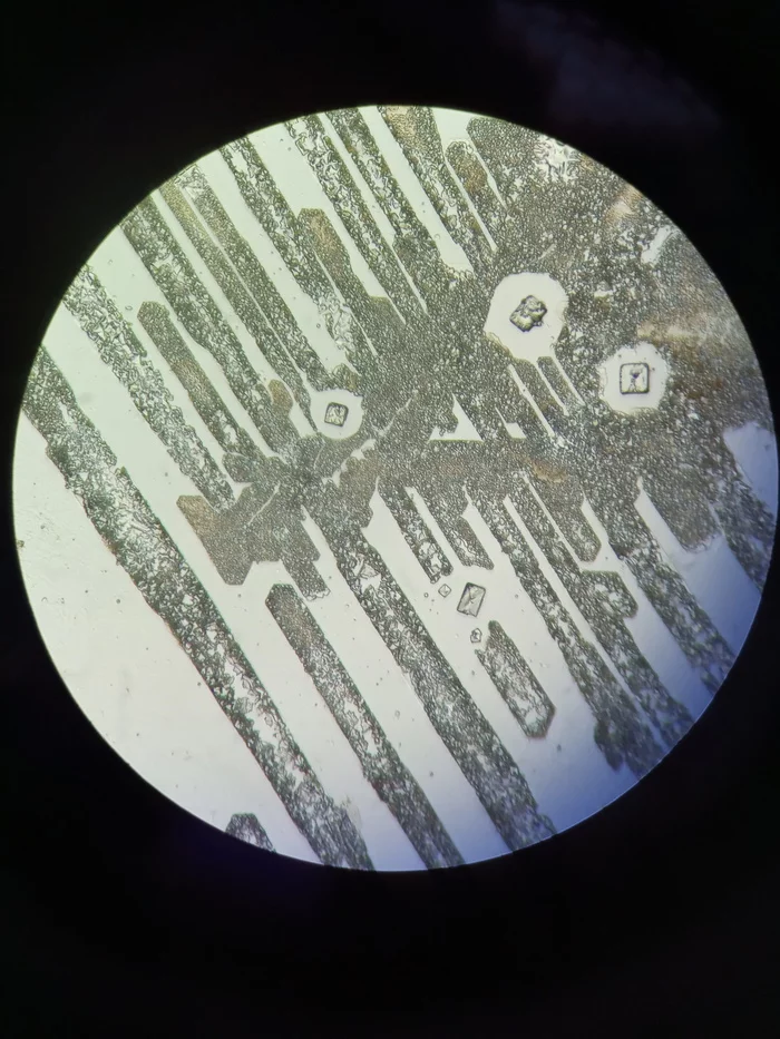 Saline + prostate secretion - My, Microscope, Microscopy, The medicine, Crystals, Crystallization, Longpost