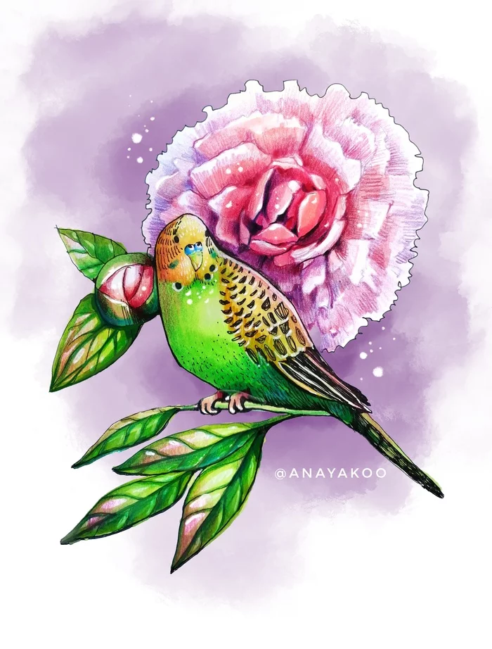 Parrot - My, A parrot, Peonies, Birds, Sketch, Sketchbook, Alcohol markers, Colour pencils, Liner, Longpost