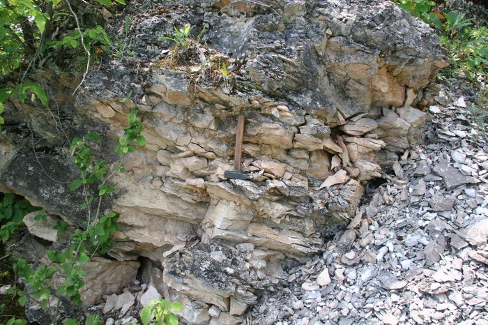 Меловые породы Кавказа Геология, Кавказ, Мел, Микроскоп, Длиннопост