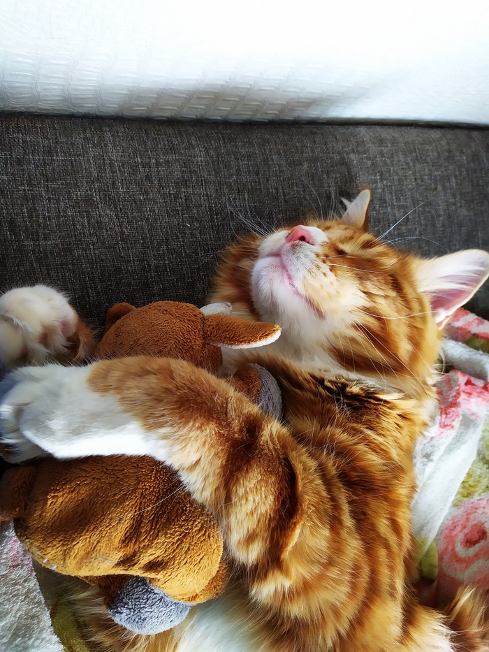 Спят усталые игрушки...