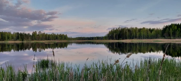 Minsk region, Zeleny Bor - My, Lake, Forest, Republic of Belarus