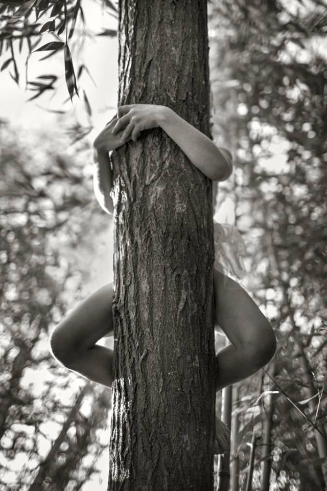 hugging a tree - Tree, Arms, Legs, Person