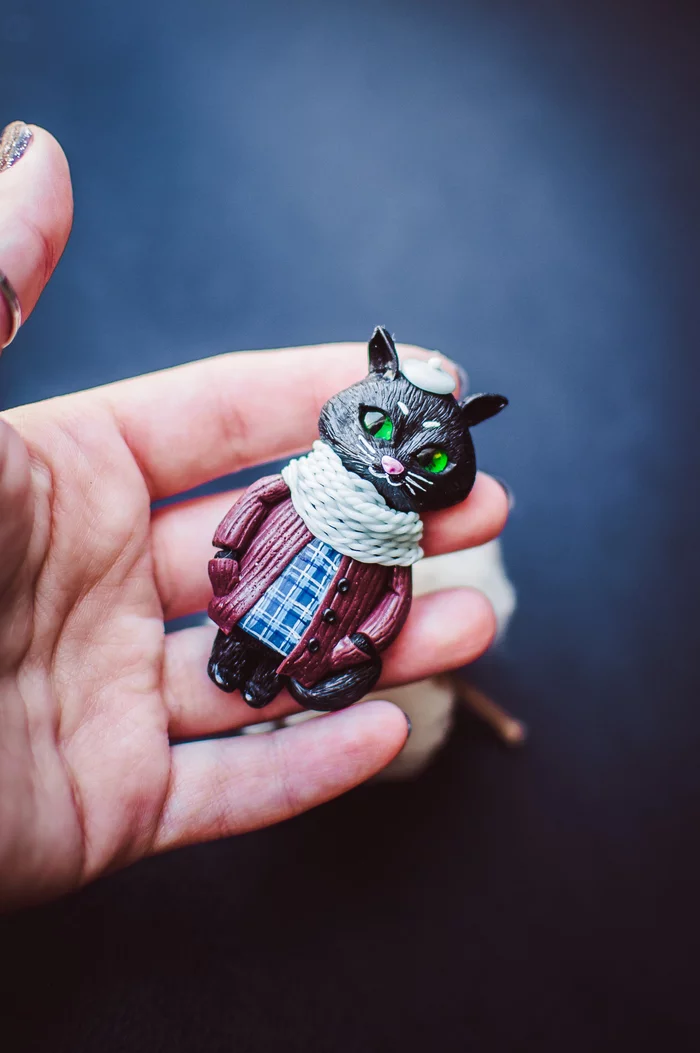 Brooches made of polymer clay - My, Handmade, Polymer clay, Brooch, Needlework without process, Longpost, Nika_kiss, cat, Frogs