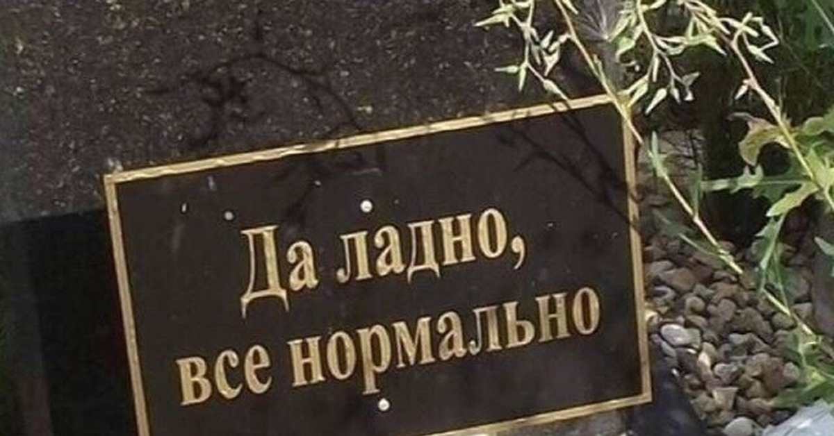 Все нормально все по плану