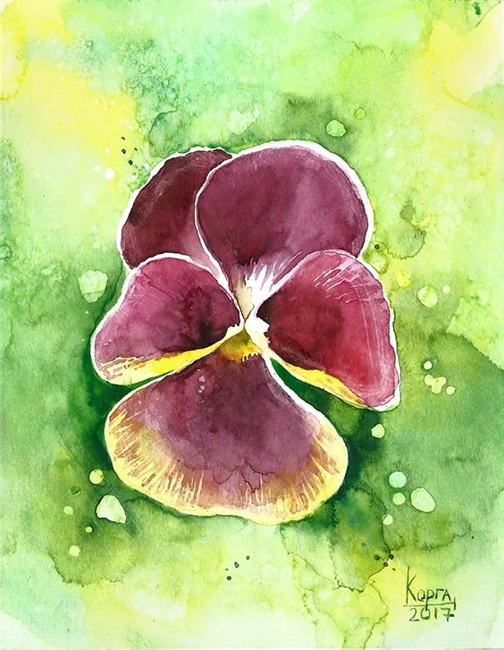 Pansies in watercolor - My, Watercolor, Illustrations, the effect, Flowers, Nature, Drawing, Painting, Etude, Longpost