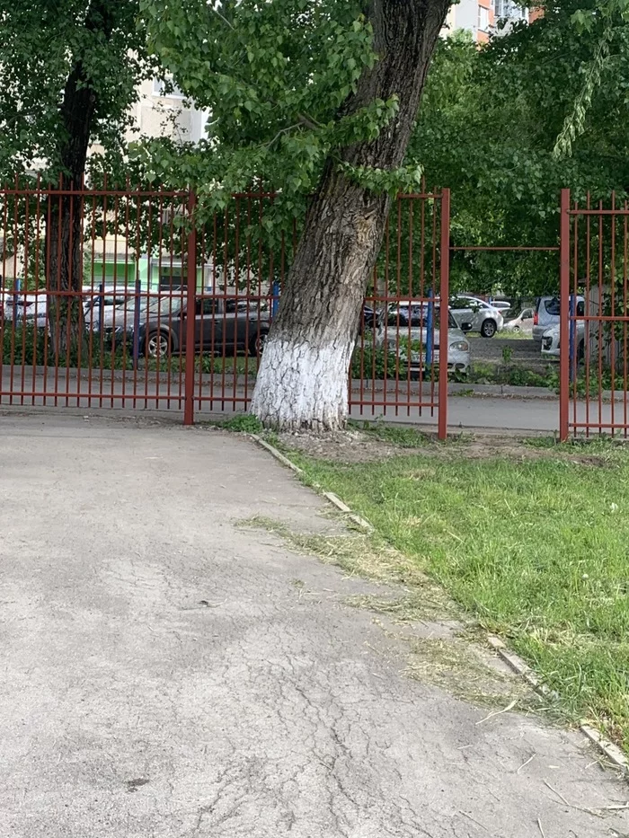 It’s good that the entrance isn’t straight into the tree - The photo, I share, Crooked hands, Fence