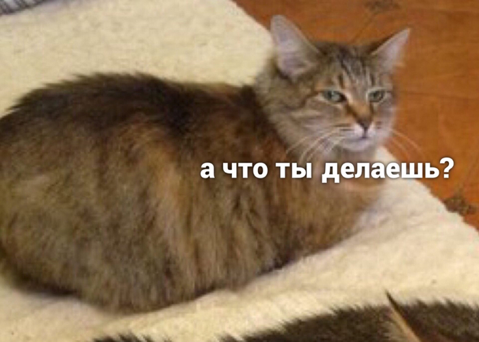 Кукла вуду | Пикабу