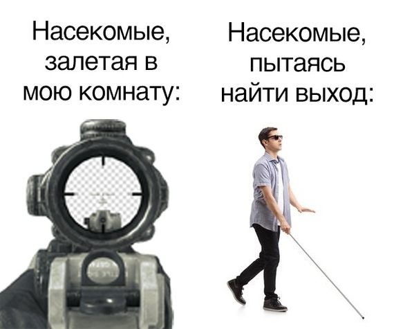 Из жизни насекомых