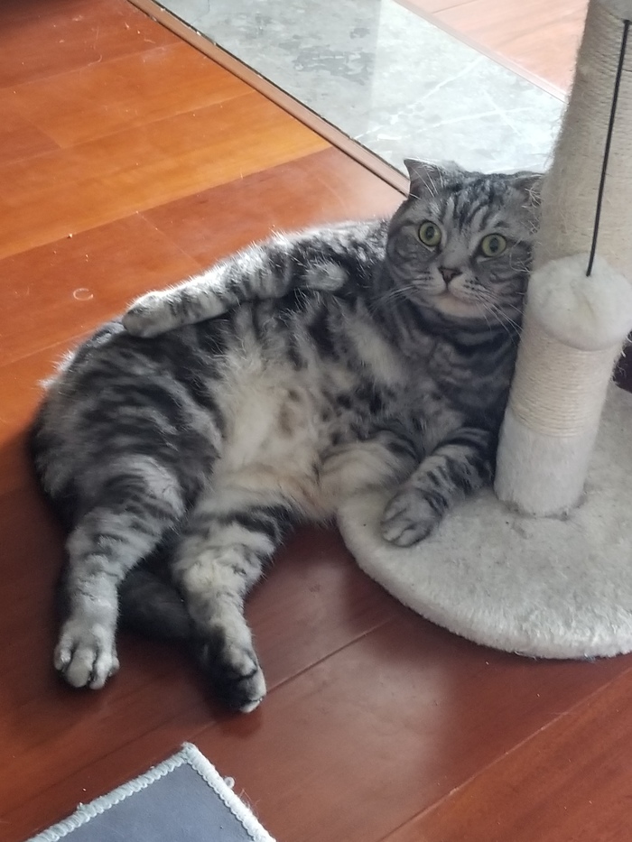 что делать если поменялись телами. Смотреть фото что делать если поменялись телами. Смотреть картинку что делать если поменялись телами. Картинка про что делать если поменялись телами. Фото что делать если поменялись телами что делать если поменялись телами. Смотреть фото что делать если поменялись телами. Смотреть картинку что делать если поменялись телами. Картинка про что делать если поменялись телами. Фото что делать если поменялись телами