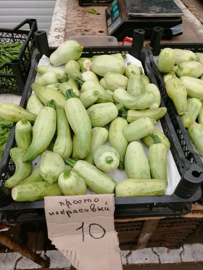 But tasty - My, Zucchini, Prices, Competition, beauty, Scary