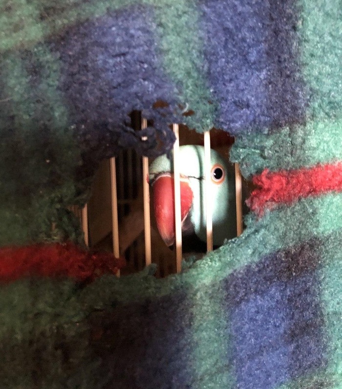 Не найдется ли у Вас минутка, поговорить о Боге нашем?