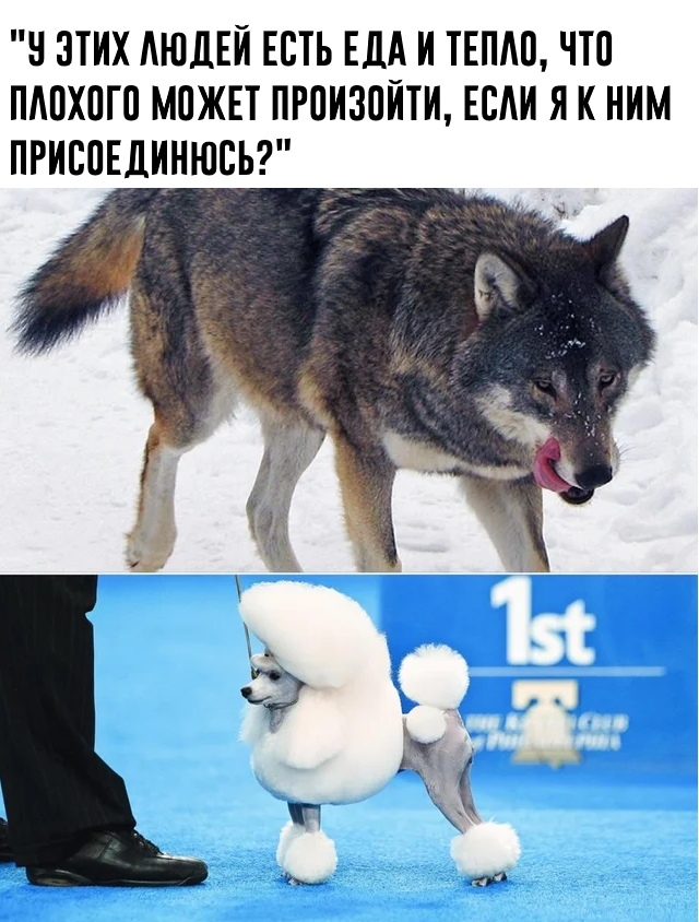 �������������� ����