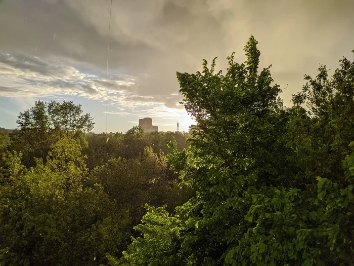 Rain in Tsaritsyno - My, Nature, Rain, Moscow, Greenery, The photo, Mobile photography