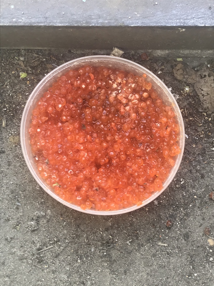 ����� ����?