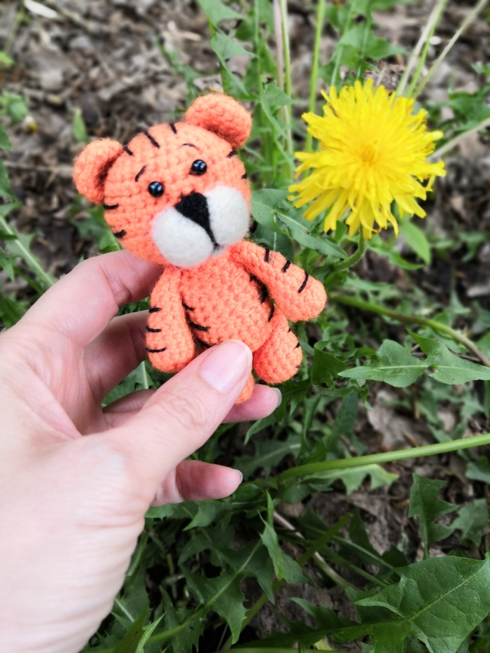 Тигр животное чрезвычайно красивое, но крайне опасное...