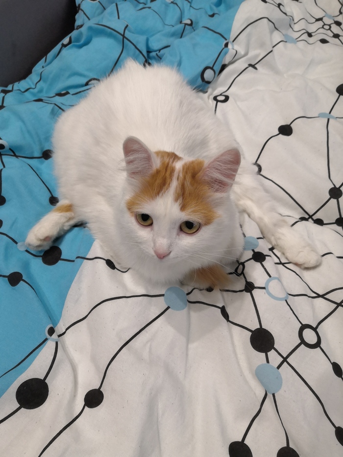 ��� ���������, ��� ��� ������