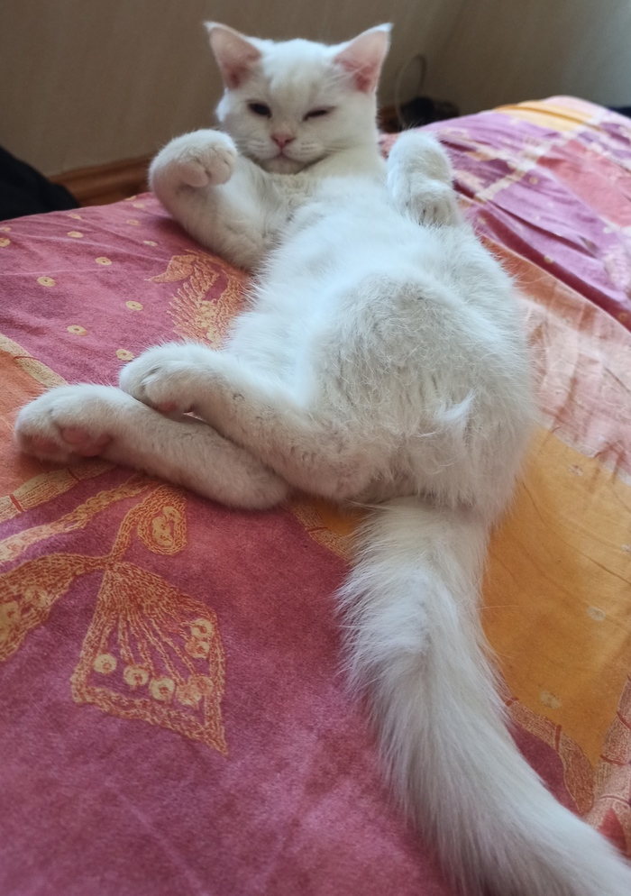 Утро добрым не бывает