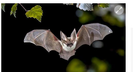 �� ������ ������:��������� ��������� ������ � �������� ������