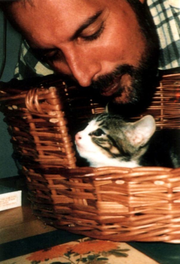 Freddie Mercury's cats - Freddie Mercury, cat, Longpost