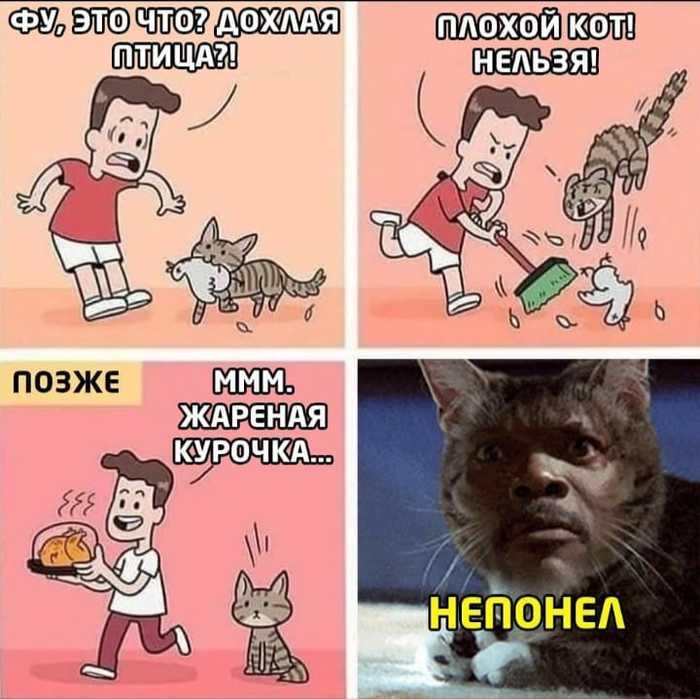 Недоразумение | Пикабу