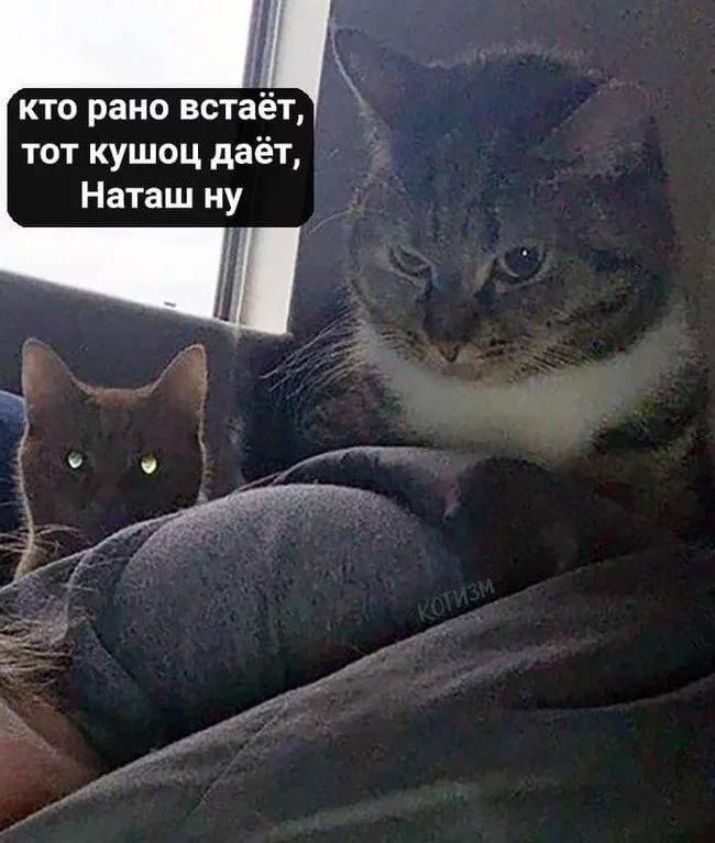 He who does not take risks does not take risks! - My, Vet, Vet clinic, Veterinary, Animals, Работа мечты, Admission to the University, Part-time students